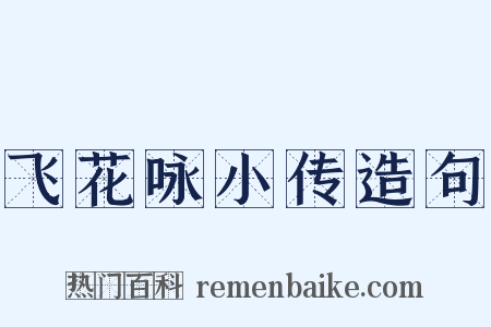 飞花咏小传造句是什么意思的图片